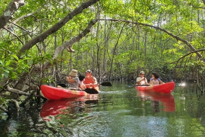 From Lembongan: Kayak/Paddleboard/Boat Mangrove Tour