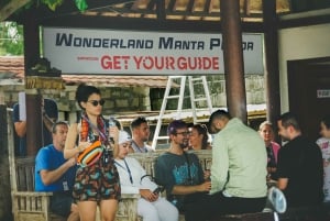 Fra Lembongan: Snorkling ved Manta Point og West Penida-tur