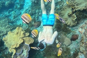 Fra Lembongan: Snorkling ved Manta Point og West Penida-tur