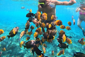 Au départ de Lembongan : Visite privée de Nusa Penida avec plongée en apnée et visite de l'ouest