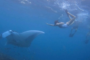 Au départ de Lembongan : Visite privée de Nusa Penida avec plongée en apnée et visite de l'ouest