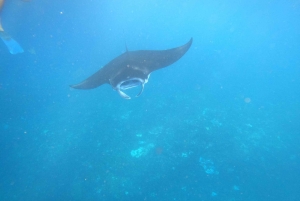 From Lembongan: Nusa Penida Private Snorkeling & West Tour