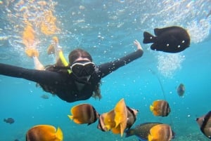From Lembongan: Nusa Penida Private Snorkeling & West Tour