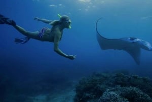 From Lembongan: Nusa Penida Private Snorkeling & West Tour