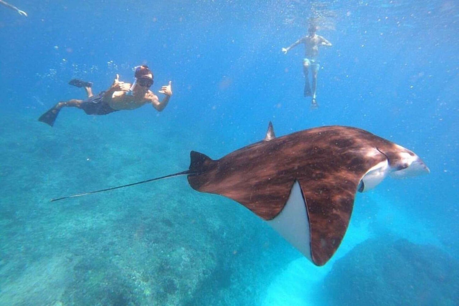 From Lembongan/Nusa Penida Snorkeling 3 Spot and Land Tour