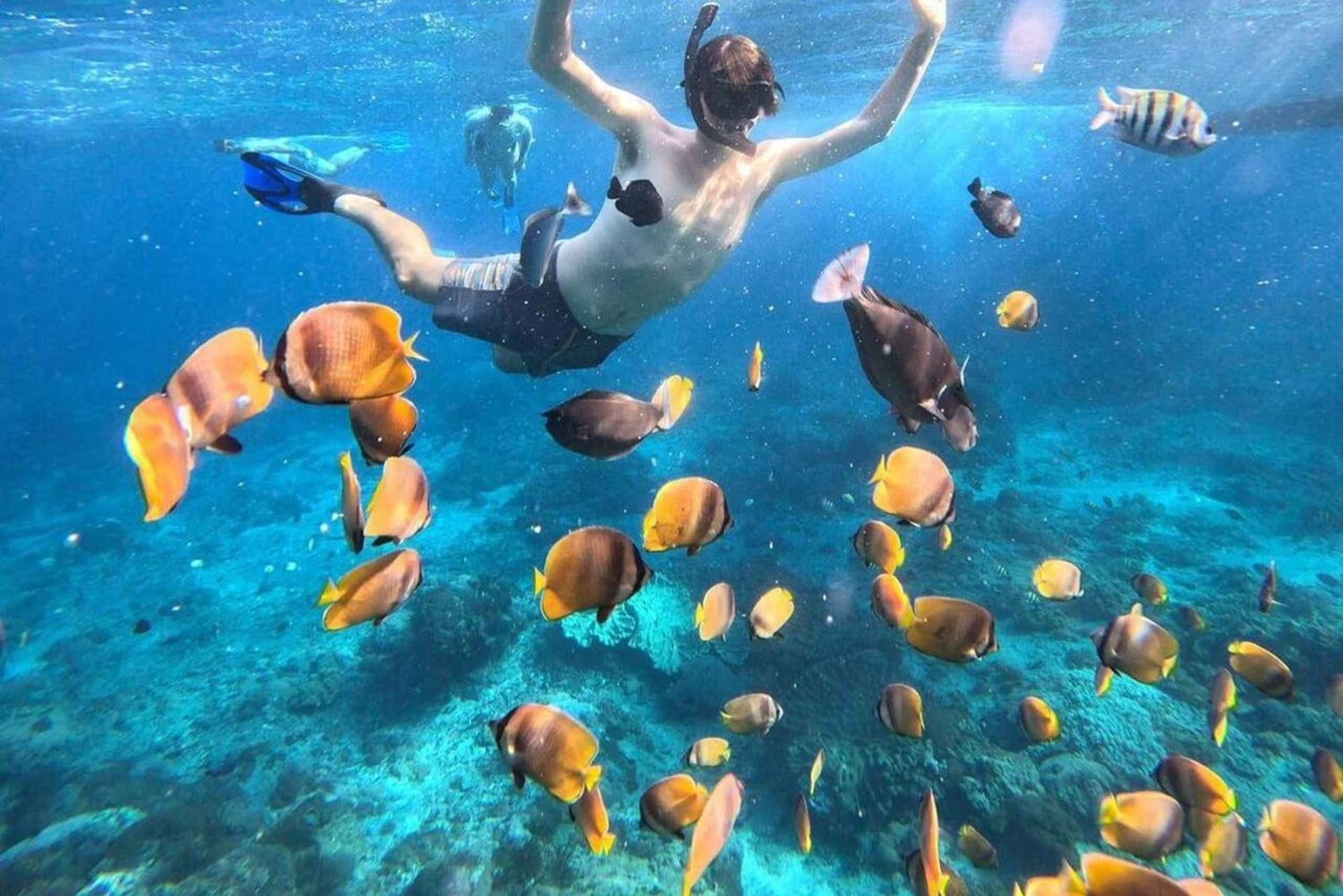 From Lembongan/Nusa Penida Snorkeling 3 Spot and Land Tour