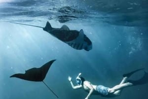 From Lembongan/Nusa Penida Snorkeling 3 Spot and Land Tour