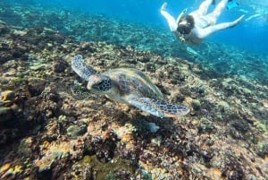 From Lembongan/Nusa Penida Snorkeling 3 Spot and Land Tour