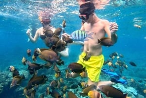 From Lembongan/Nusa Penida Snorkeling 3 Spot and Land Tour