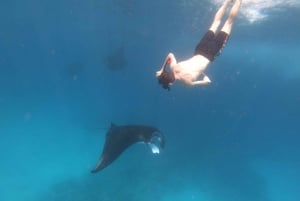 Da Lembongan: Escursione di un giorno per lo snorkeling a Nusa Penida