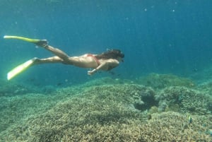 Fra Lembongan: Dagstur med snorkling på Nusa Penida