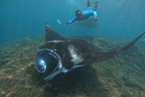 From Lembongan: Nusa Penida Snorkeling Day Trip