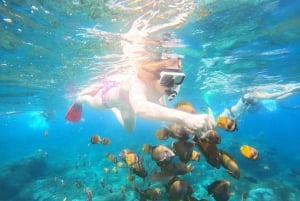 From Lembongan: Private Snorkeling Tour To Nusa Penida