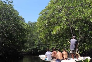 From Lembongan: Private Snorkeling Tour To Nusa Penida