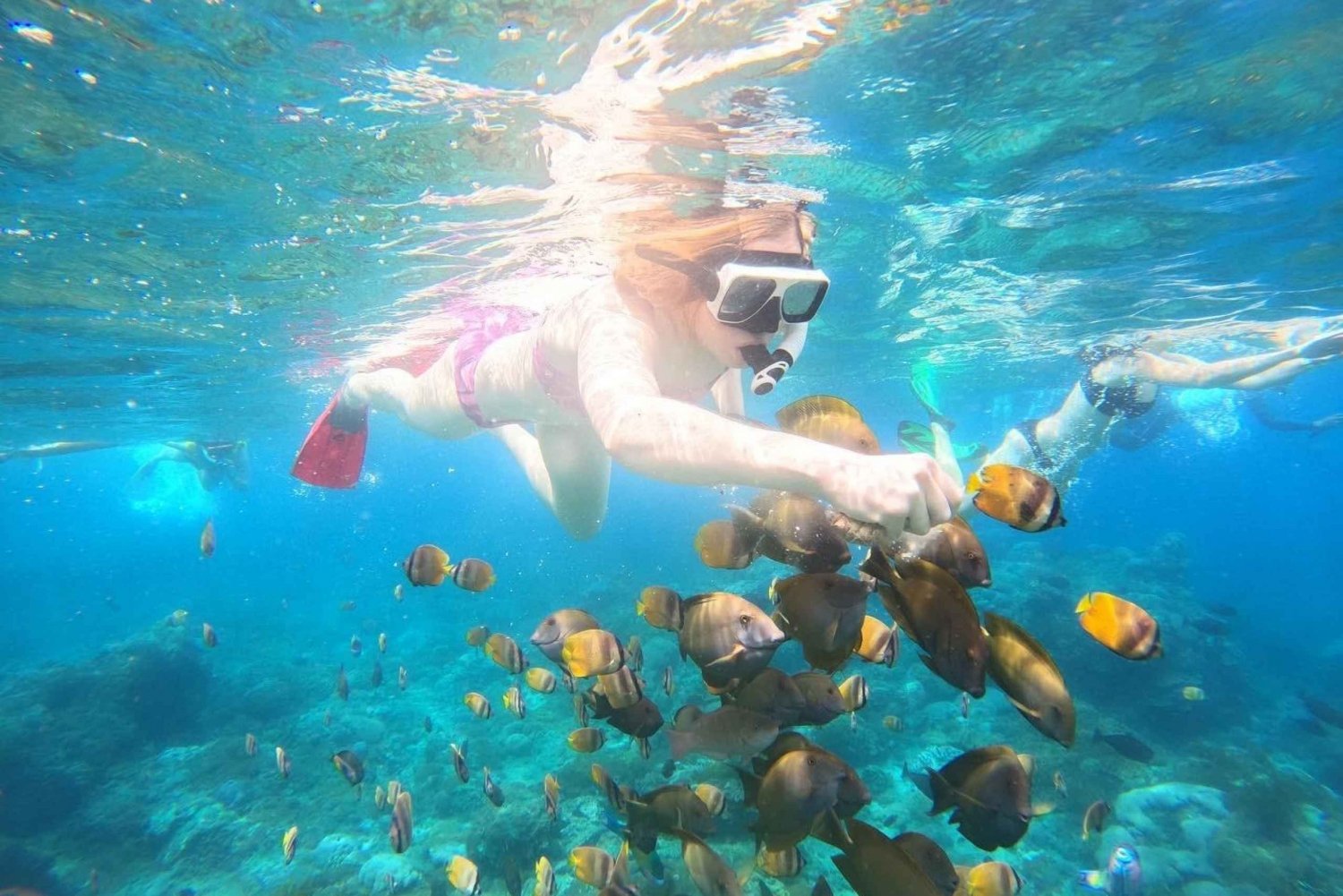 Au départ de Lembongan : Visite privée de Nusa Penida avec plongée en apnée et visite de l'ouest