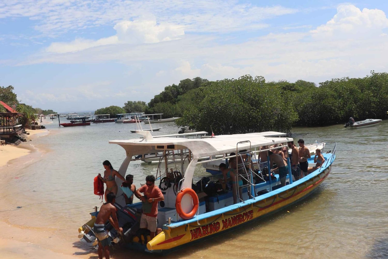 Fra Lembongan: Snorkling 3 steder, mangrove- og landtur