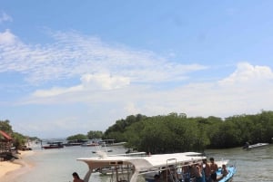 Från Lembongan: Snorkling 3 Spots, Mangrove och Land Tour