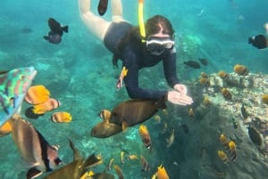 Från Lembongan: Snorkling 3 Spots, Mangrove och Land Tour