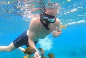 Från Lembongan: Snorkling 3 Spots, Mangrove och Land Tour