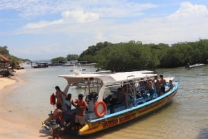Fra Lembongan: Snorkling 3 steder, mangrove- og landtur