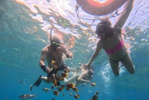 Fra Lembongan: Snorkling 3 steder, mangrove- og landtur