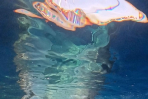 Da Lombok: tour di 2 giorni a Sumbawa e nuoto con gli squali balena