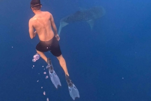 Da Lombok: tour di 2 giorni a Sumbawa e nuoto con gli squali balena