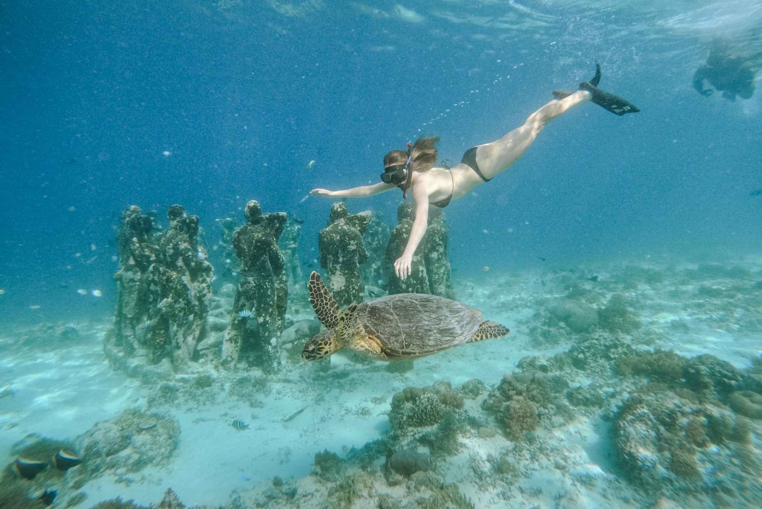 من لومبوك: مغامرة غطس خاصة في 3 جزر جيلي