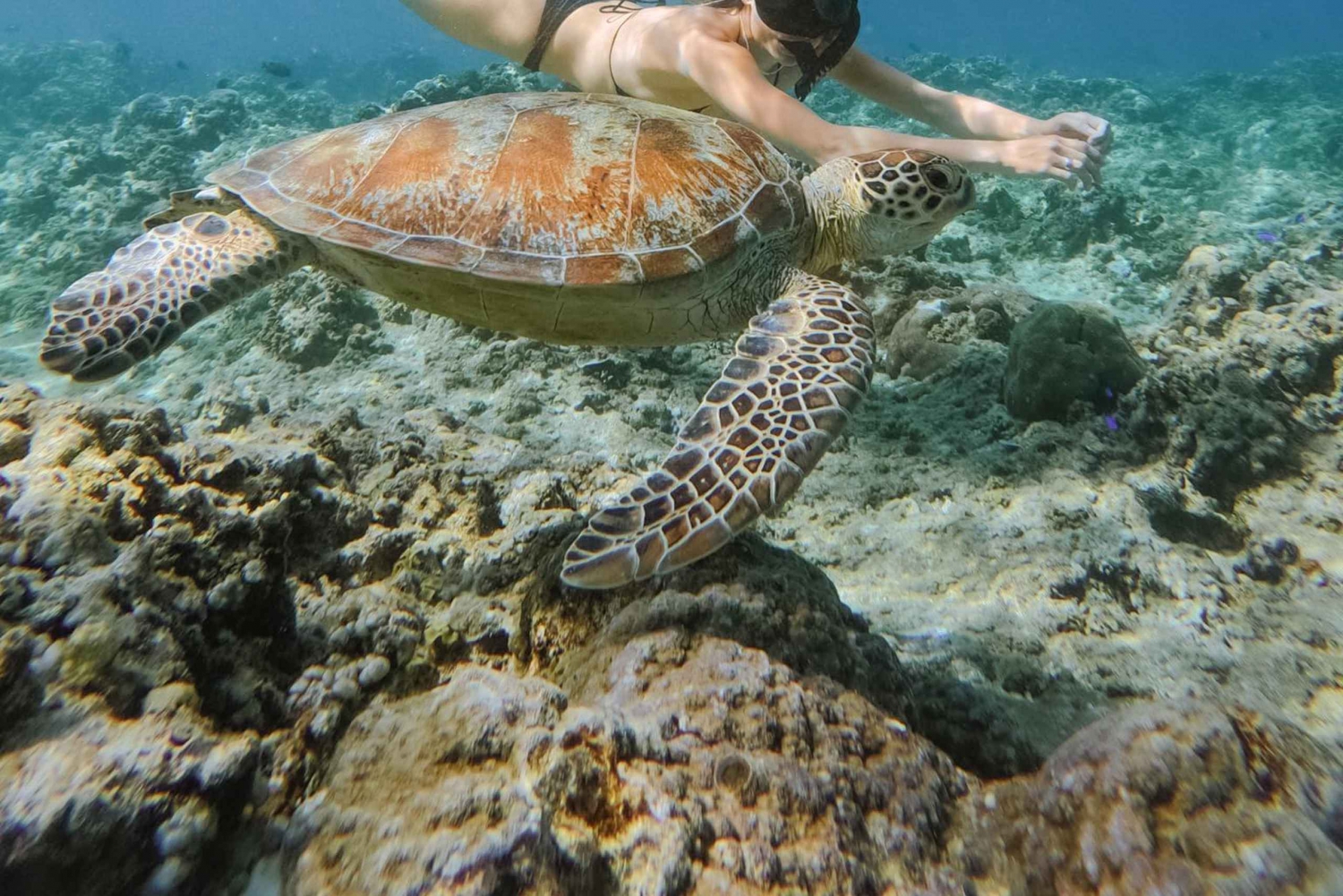 من لومبوك: مغامرة غطس خاصة في 3 جزر جيلي