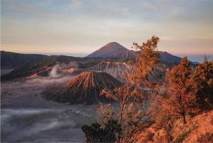 Fra Malang: Bromo & Ijen 2-dagers tur med avreise fra Bali