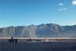 Fra Malang: Bromo & Ijen 2-dagers tur med avreise fra Bali