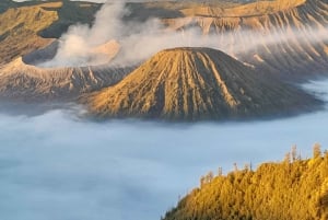 Von Malang aus: Tumpak Sewu, Bromo, und Ijen Blue Fire Tour