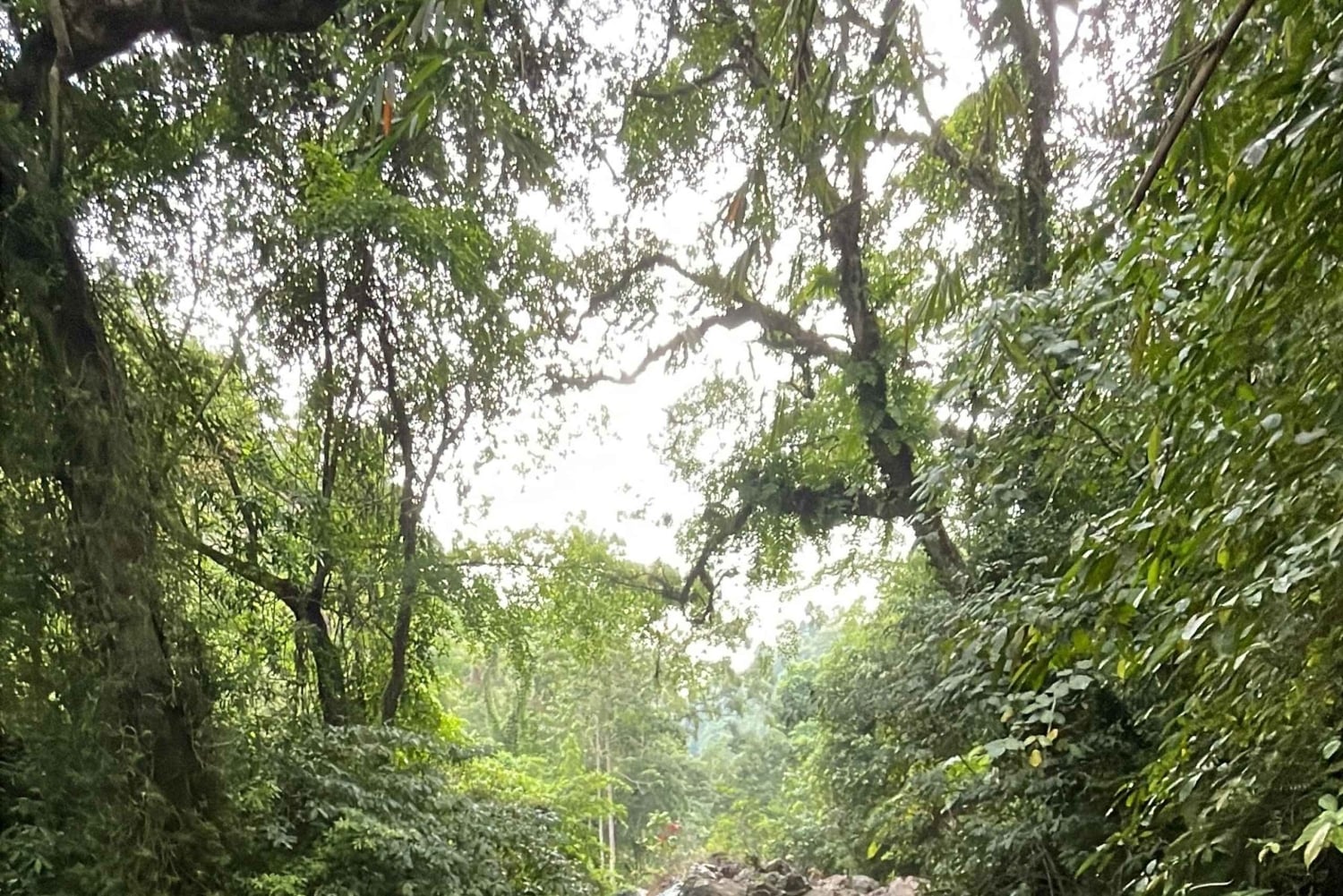 From North Bali: Aling Aling Waterfall and Blue Lagoon Tour