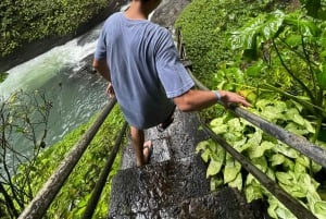 Dal nord di Bali: Tour delle cascate di Aling Aling e della Laguna Blu