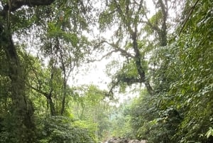 From North Bali: Aling Aling Waterfall and Blue Lagoon Tour