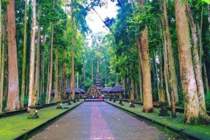 Desde el norte de Bali :Tanah Lot, bosque de Sangeh y templo de Ulun Danu