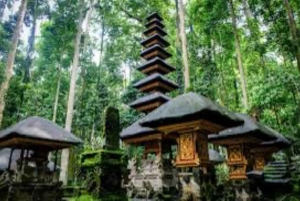 Desde el norte de Bali :Tanah Lot, bosque de Sangeh y templo de Ulun Danu