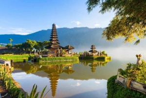 Desde el norte de Bali :Tanah Lot, bosque de Sangeh y templo de Ulun Danu