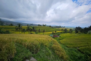 Desde el norte de Bali :Tanah Lot, bosque de Sangeh y templo de Ulun Danu
