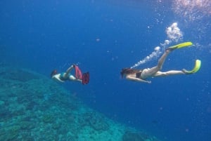 Da Nusa Penida: Tour di snorkeling in 3 punti con le mante