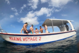 From Nusa Penida: 4 Spots Snorkeling Tour with Manta Rays