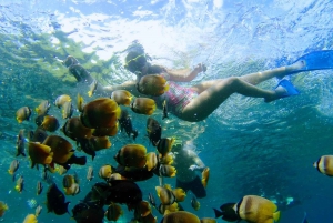 From Nusa Penida: 4 Spots Snorkeling Tour with Manta Rays