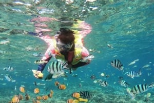 Bali Nusa Penida : Snorkeling and Land Tour All Inclusive