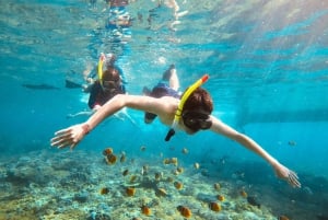 From Nusa Penida: Snorkeling at 4 Spots with Guide