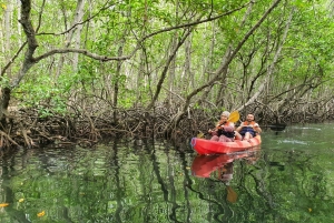 Från Penida: Lembongan-tur med kajakpaddling och lunchbuffé