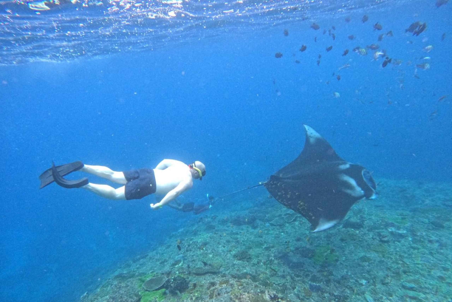 From Penida: Manta Snorkeling with Buffet Lunch and Kayaking