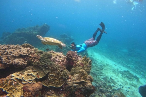Desde Penida: snorkel con mantarrayas, almuerzo buffet y kayak