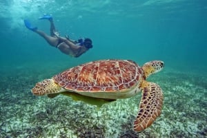 From Private 3-Day Gili Islands Tour with Snorkeling