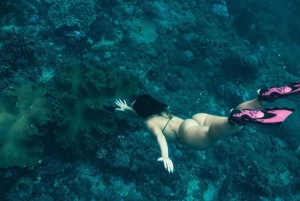 Do sul de Bali: Viagem de 1 dia a Nusa Penida com mergulho com snorkel