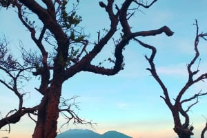 Desde Surabaya: Tour privado de 3 días al monte Bromo e Ijen